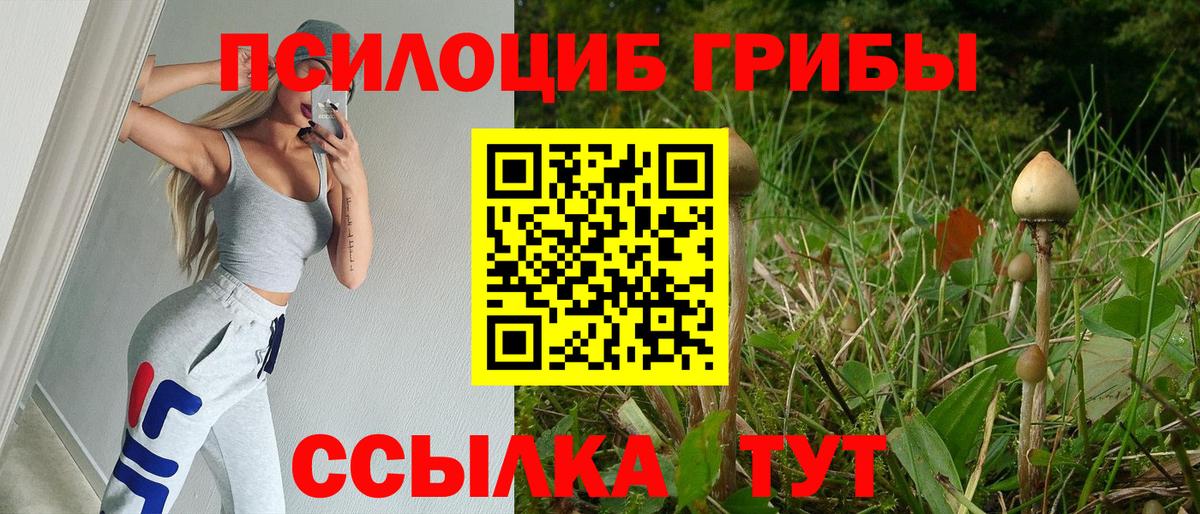 Псилоцибиновые грибы GOLDEN TEACHER  Вход с VPN  Тара 