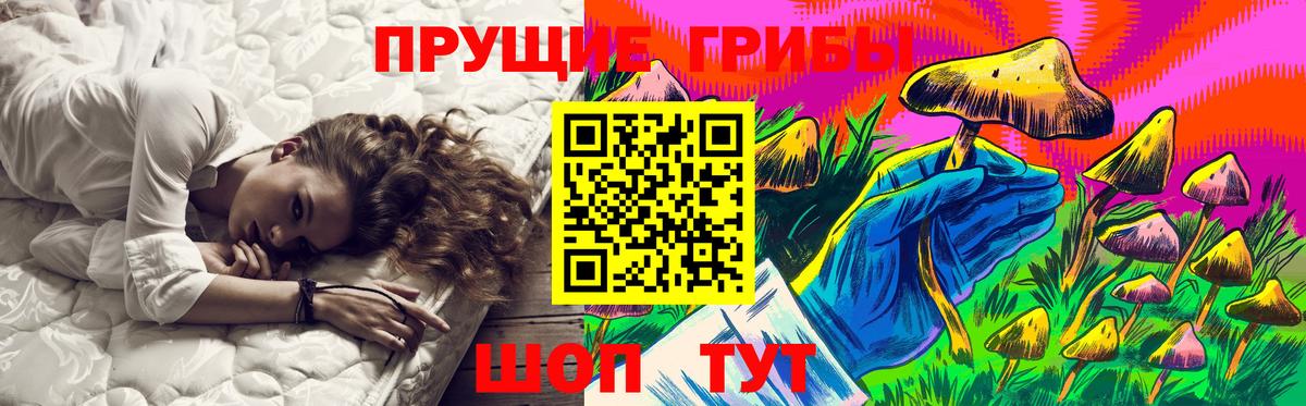 Псилоцибиновые грибы MAGIC MUSHROOMS Тара