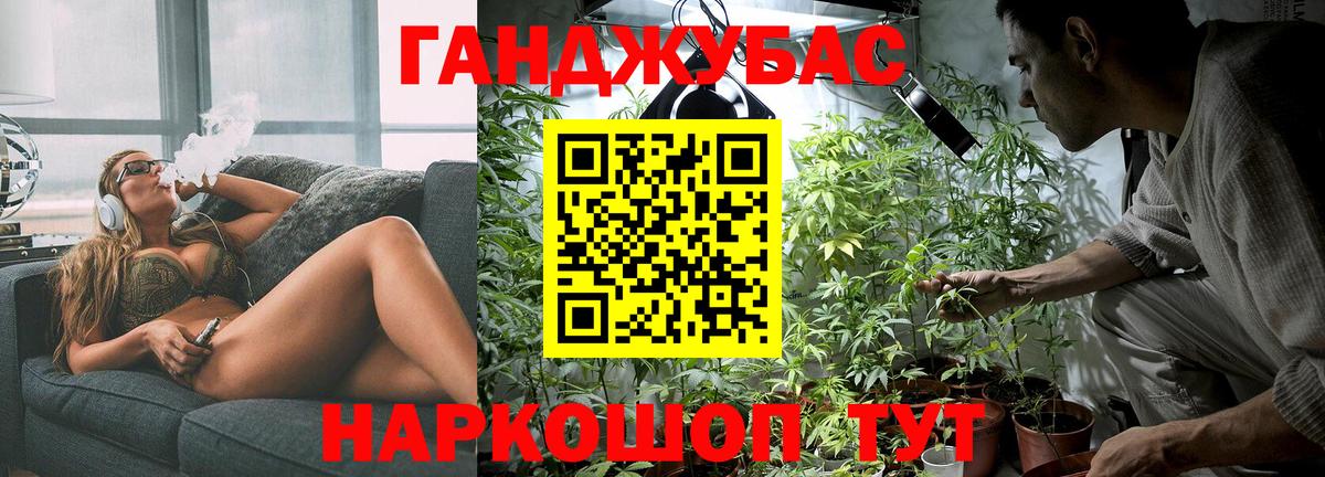 Канабис конопля  Бошки марихуана SATIVA & INDICA  Тара  Вход с VPN  Бошки марихуана сатива 